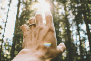 Unlock-the-Power-of-Your-Bodys-Wisdom-to-Heal-Trauma